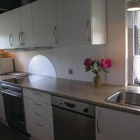 Vi * ブラーバンド